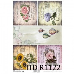 R1122 small N